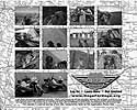 Copyright 2004 - U.S. Hogs For Dogs, Inc