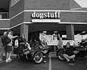Copyright 2004 - U.S. Hogs For Dogs, Inc